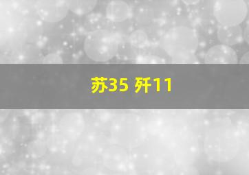 苏35 歼11